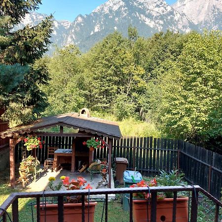 B House Buşteni エクステリア 写真