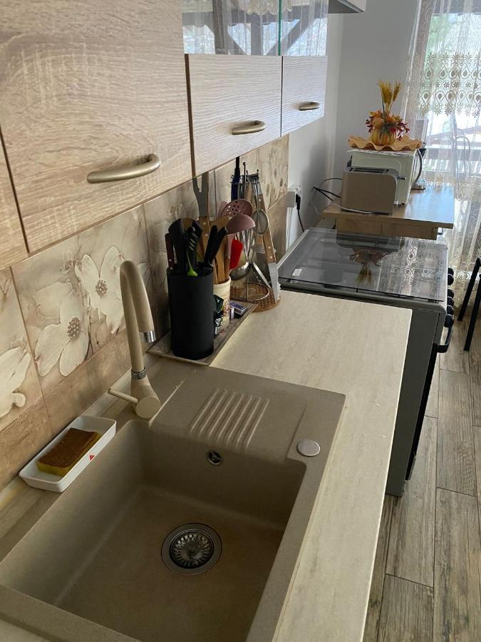 B House Buşteni エクステリア 写真