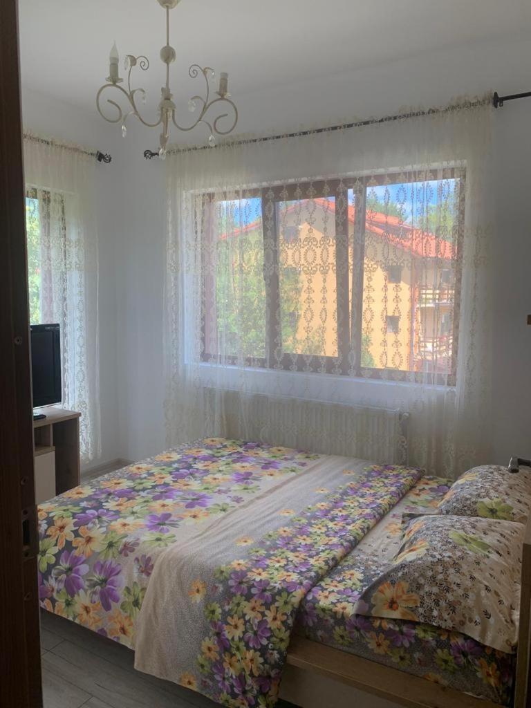 B House Buşteni エクステリア 写真
