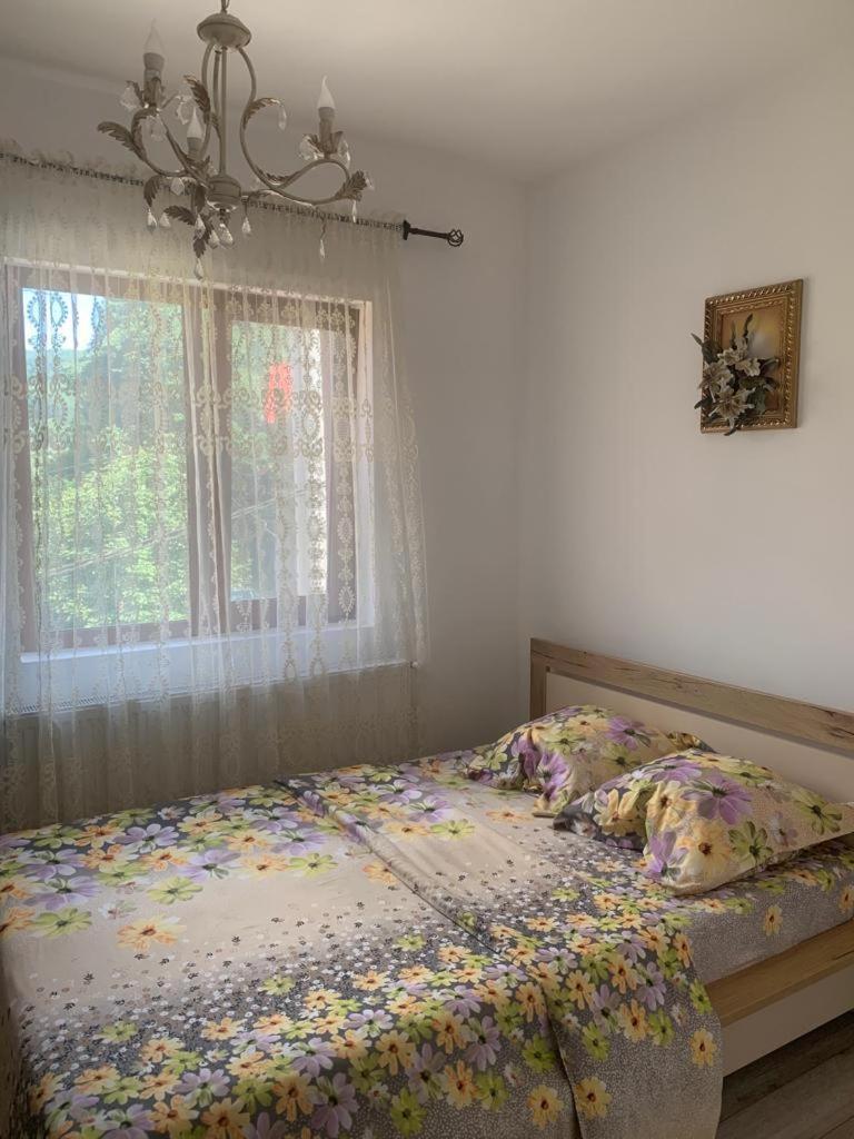 B House Buşteni エクステリア 写真
