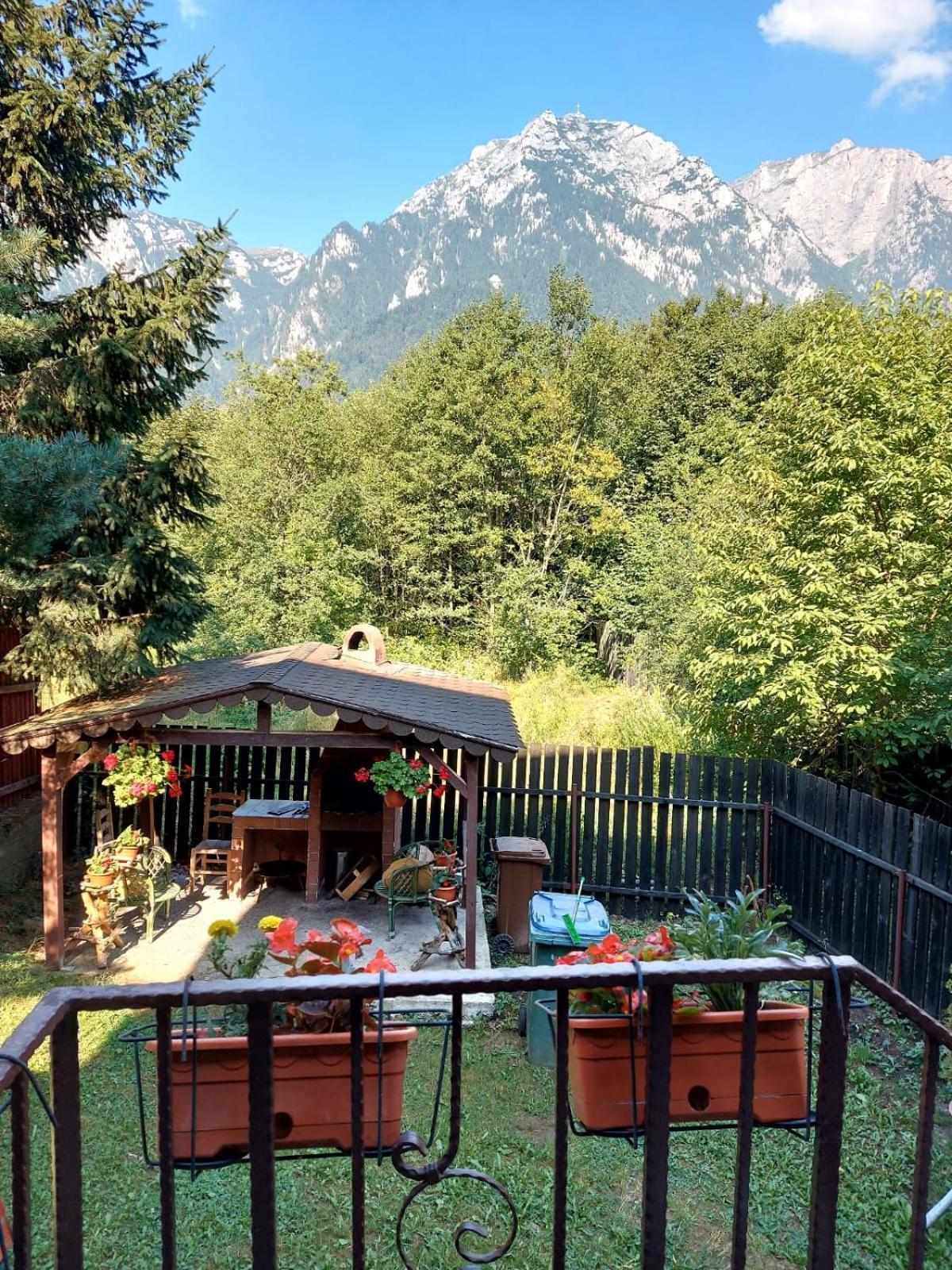 B House Buşteni エクステリア 写真